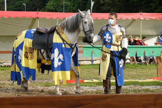 尤文图斯的 尤文图斯的