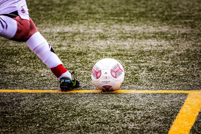 郑钦文事后 郑钦文事后