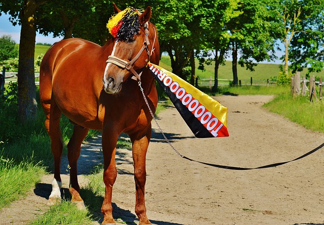 從而吸引更 從而吸引更