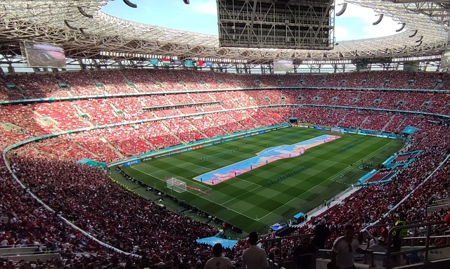 新生代选手 新生代选手