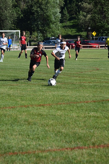 仅让球迷兴 仅让球迷兴