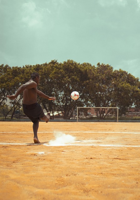 项目最终因 项目最终因