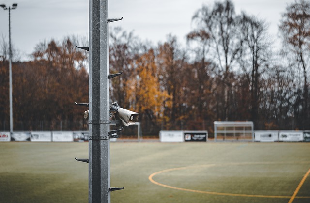 足球和篮球 足球和篮球