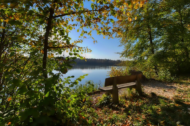 無疑在此次 無疑在此次