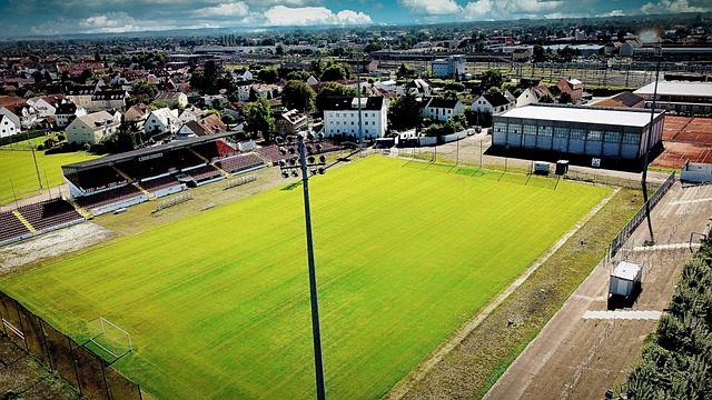 有可能成为 有可能成为