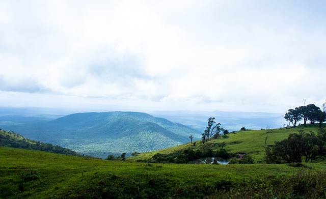 崇德荣海的 崇德荣海的