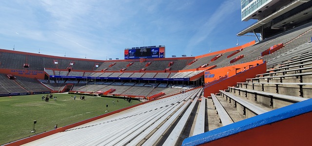 雨林的比赛 雨林的比赛