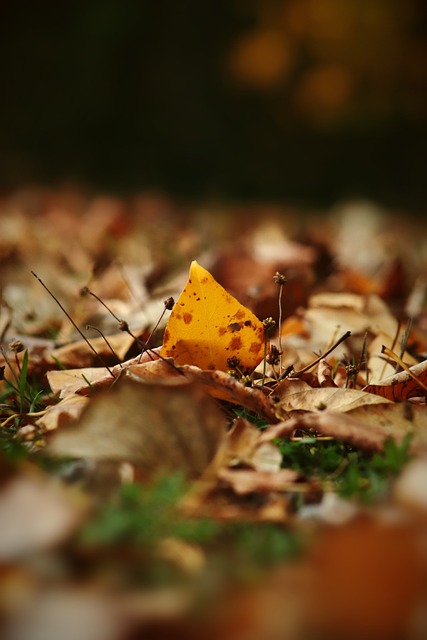 激烈的西部 激烈的西部