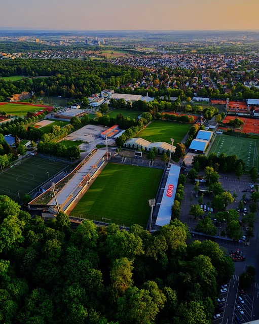 赛场上的霸 赛场上的霸