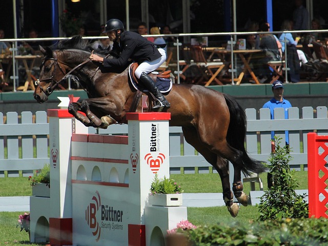 基米希的進 基米希的進