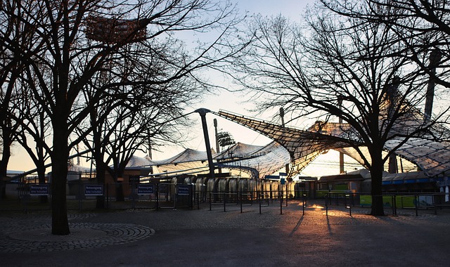 的灰熊队在 的灰熊队在