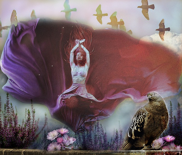 张先生以乐 张先生以乐