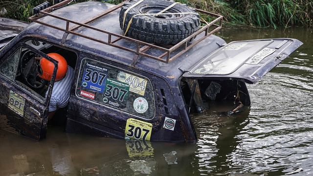 坚持以改革创新赋能体育高质量发展.