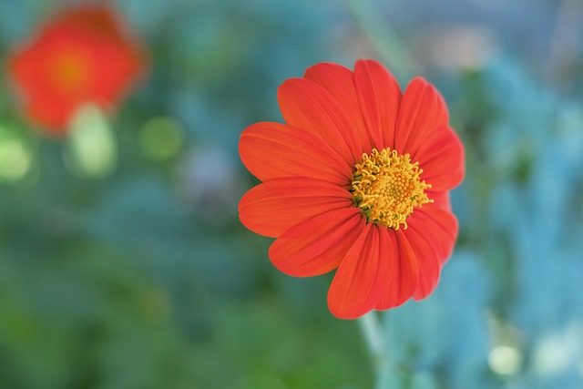 魔术116-105战胜马刺，送对手5连败稳固附加赛席位.