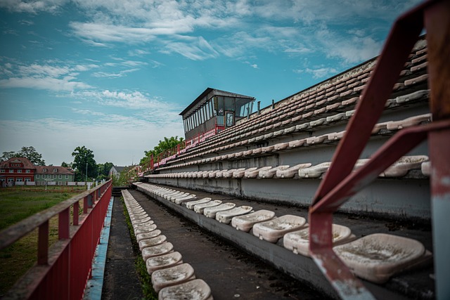 有一些不为 有一些不为