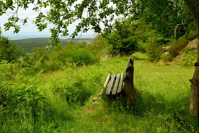 步步不离后脑勺 大爷发疯狂 吃干榨净.